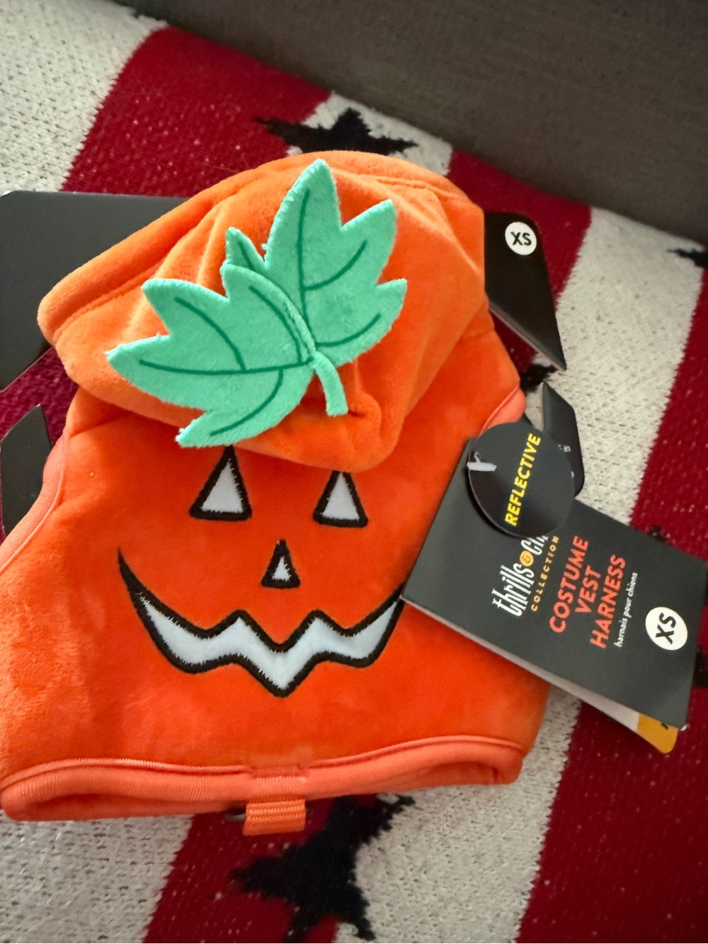The Cutest Pumpkin in the Patch! 🎃
